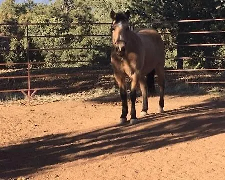Casita Luna-3